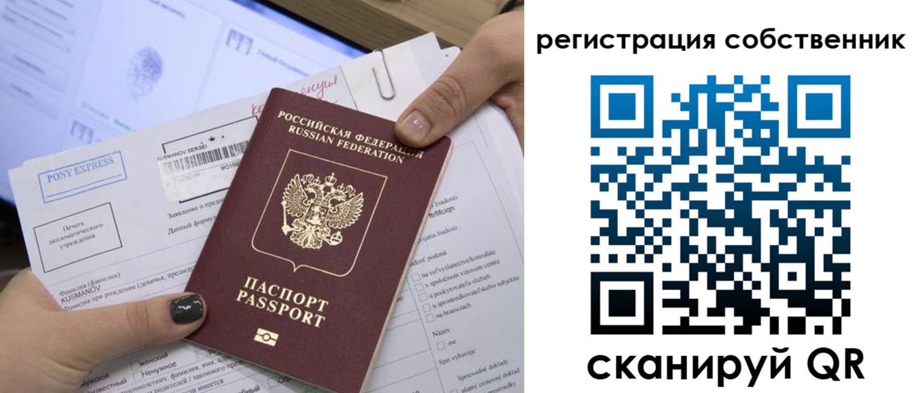 прописка поиск в Мариинском Посаде